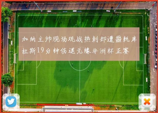 加纳主帅现场观战热刺却遭噩耗库杜斯19分钟伤退无缘非洲杯正赛