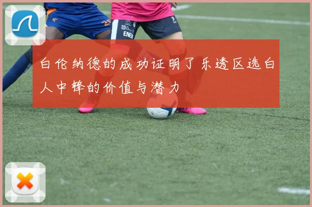 白伦纳德的成功证明了乐透区选白人中锋的价值与潜力