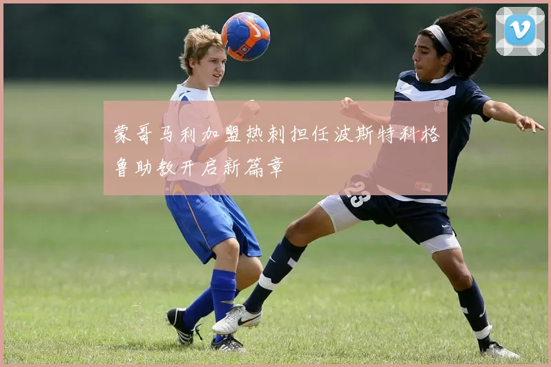 蒙哥马利加盟热刺担任波斯特科格鲁助教开启新篇章